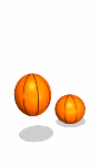 basket balls bouncing md wht