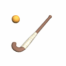 field hockey stick bouncing ball md wht