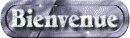 bienvenue md wht