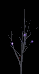 natale017