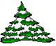 natale024