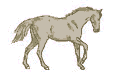 horse1
