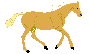 horse10