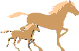 horse5a