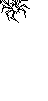 spider5
