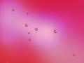 MacBG-Strawberry-Baby