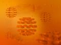 MacBG-Tangerine-Fusion