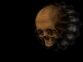 Skull3