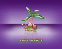aqua mango 06