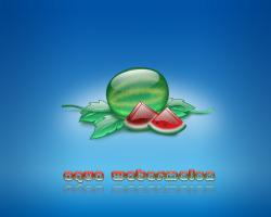 aqua watermelon 03