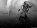 beastwithin