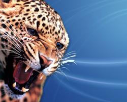 hljaguar1280x1024