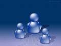 msn-wallpaper2