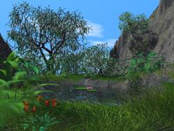 natureal