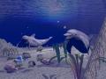 oceanlife