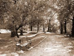 park2