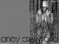 11cindy crawford 141